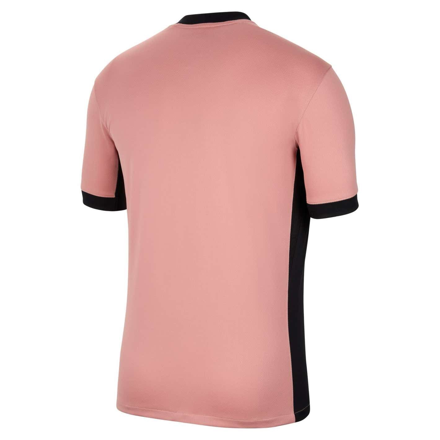 Paris Saint-Germain 2024/25 Stadium Third Licensed Jerseys Nike