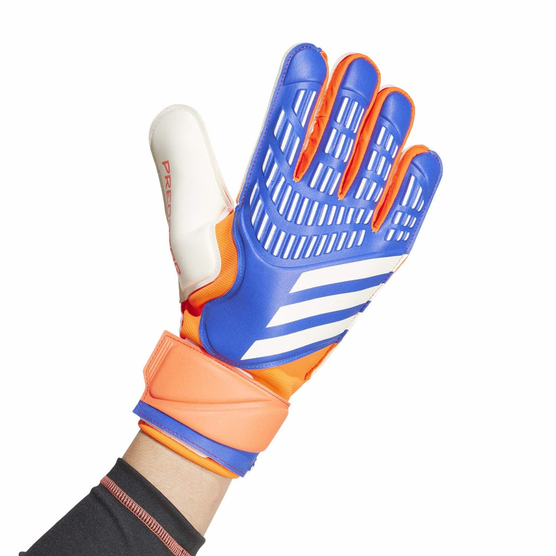 adidas Predator Match Gloves Goalie Gloves adidas