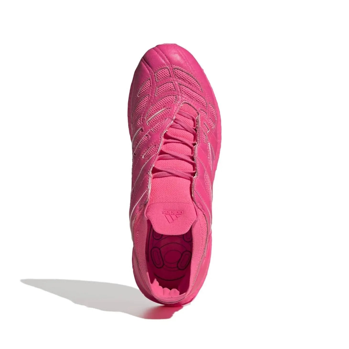 adidas Predator Accelerator TR Lifestyle adidas