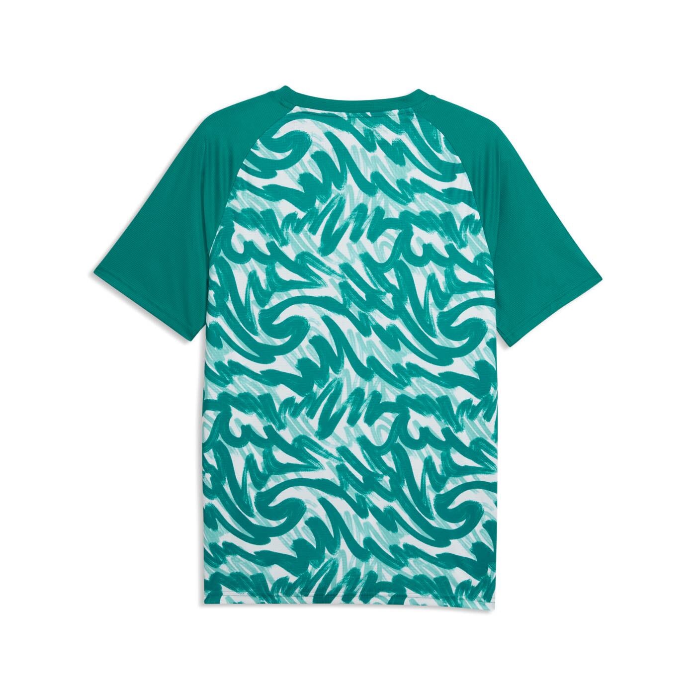 Portugal Warm Up Training Top back view in green and white pattern