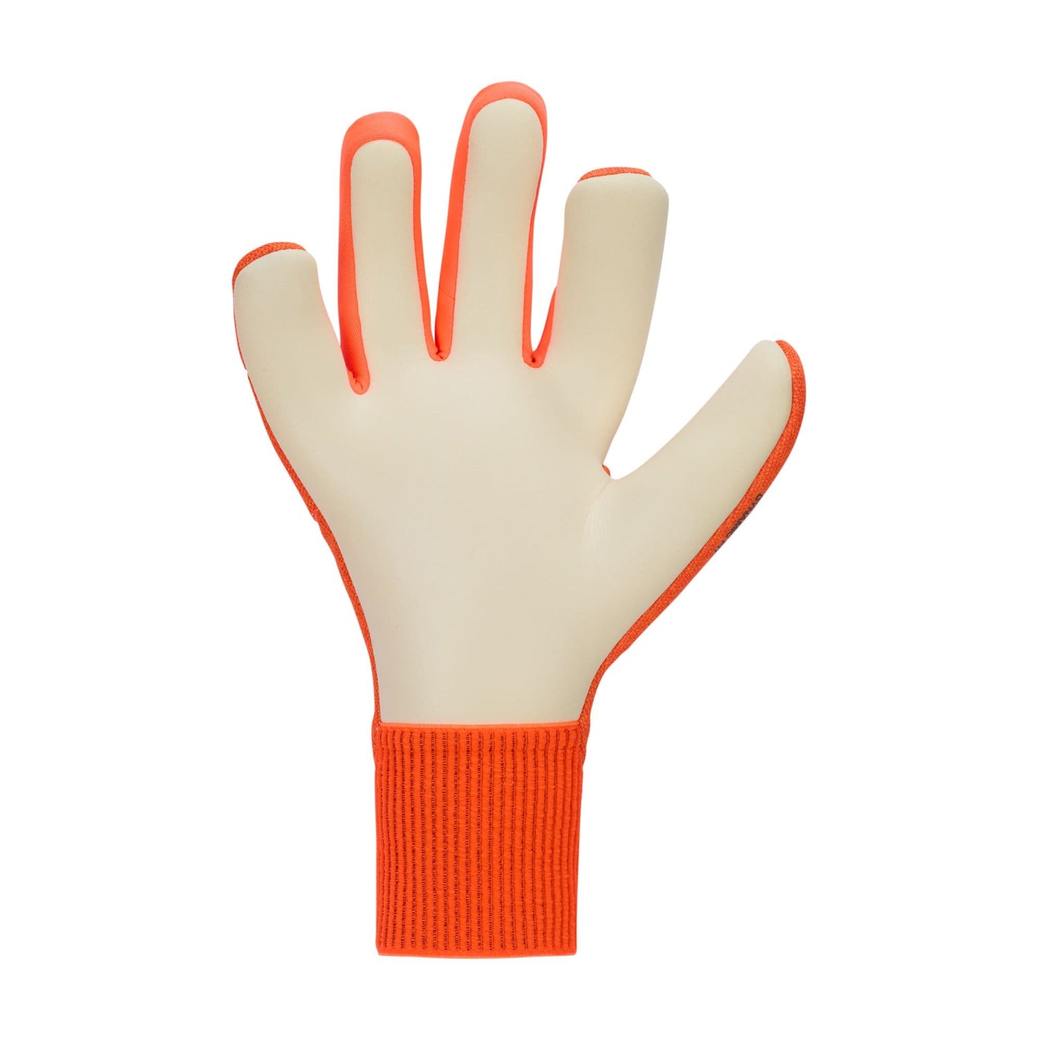 Nike Dynamic Fit Goalkeeper Gloves Nike 