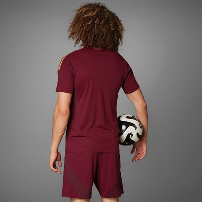 AS Roma 24/25 Home Soccer Jersey