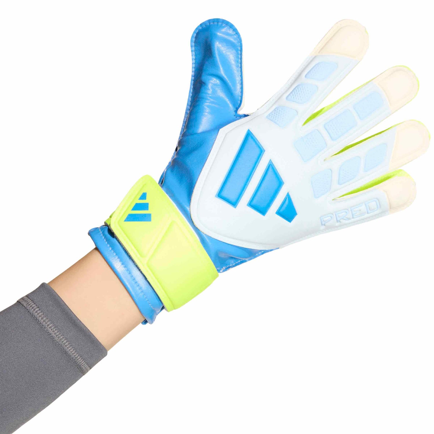 adidas Predator Training Goalkeeper Gloves Jr. Goalkeeper Gloves adidas 