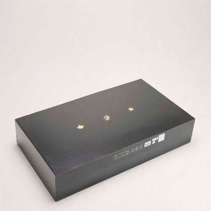 FIFA World Cup Historical Pro Ball Set Official Balls adidas 