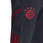 FC Bayern Condivo 22 Training Pants