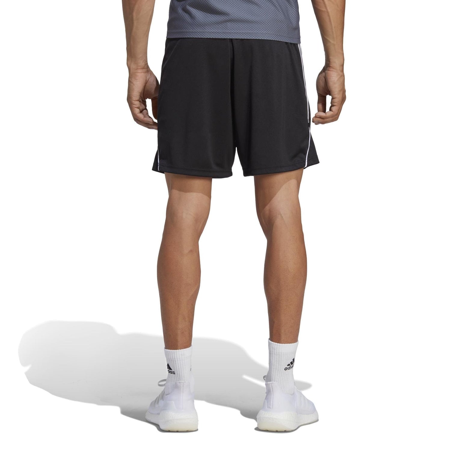 TIRO 23 League Shorts Training Shorts adidas 